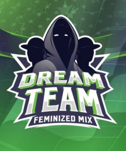 Dream-Team-Feminizadas-x12-BSF