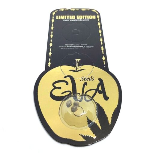 Amnesia-x-Critical-Limited-Edition-3-1-Eva-Seeds-MISTICOCENTER