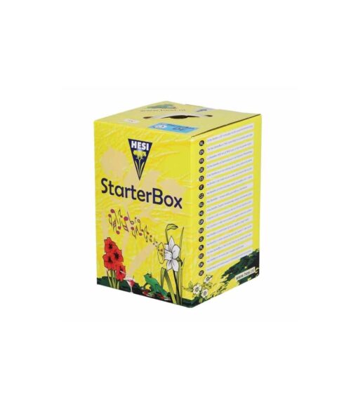 STARTER-BOX-SUELO-HESI