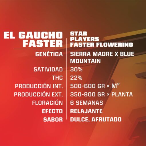 gaucho-x02-faster-flowering-bsf