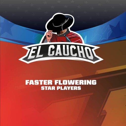 gaucho-x02-faster-flowering-bsf