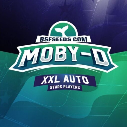 Moby-D-XXL-x02-BSF