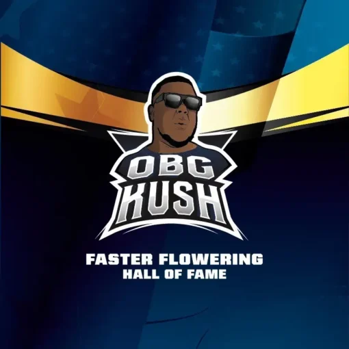 obg-kush-x02-faster-flowering-bsf