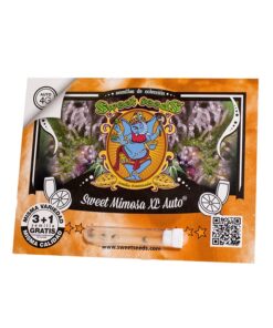 Sweet-Mimosa-XL-Auto-3-1-SWEET-SEEDS