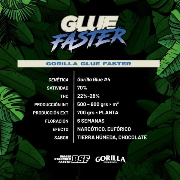 Gorilla-Glue-Faster-x12-BSF