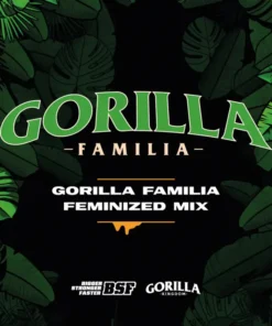 Gorilla-Familia-Feminizada-Mix-x12-BSF