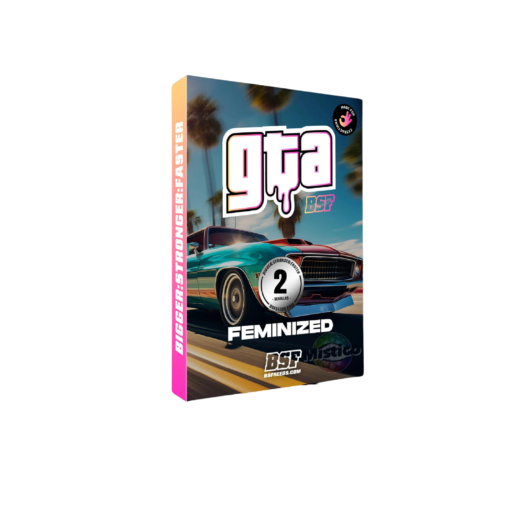 gta-x02-feminizada-bsf