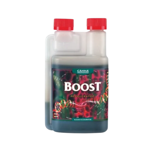 boost-accelerator-1l-canna