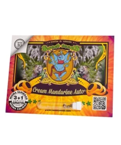 Cream-Mandarine-Auto-3-1-SWEET-SEEDS