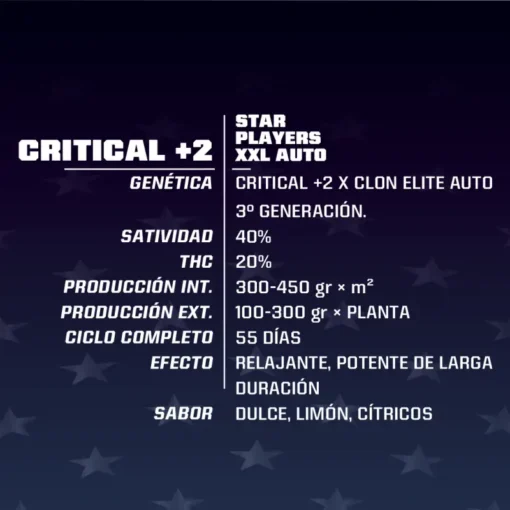 critical-2-xxl-x02-auto-bsf