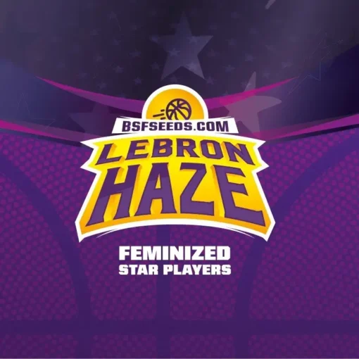 Lebron-Haze-x02-Feminizada-BSF