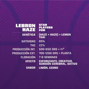 Lebron-Haze-x02-Feminizada-BSF