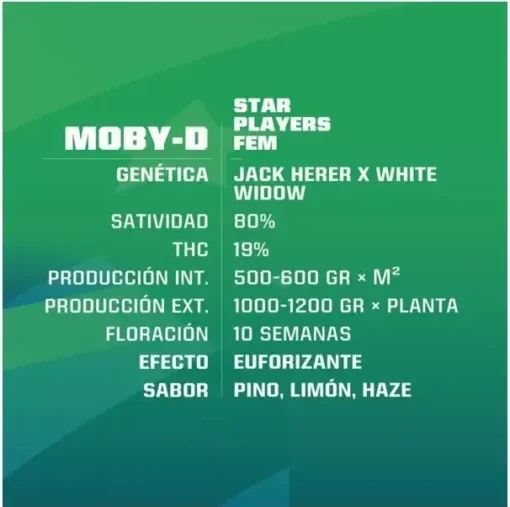 Moby-D-x02-FEM-BSF