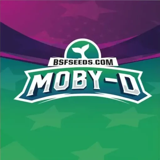 Moby-D-x02-FEM-BSF