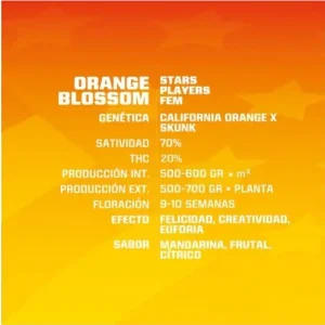 Orange-Blossom-x02-Feminizada-BSF