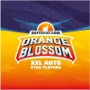 orange-blossom-x02-automatica-bsf
