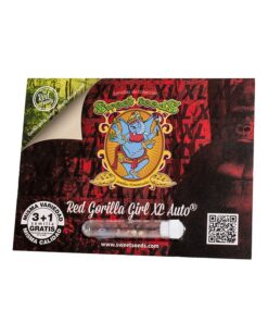 red-gorilla-girl-xl-auto-3-1-sweet-seeds