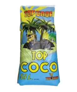 Top-Coco-TOP-CROP