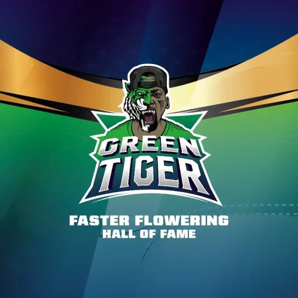 Green-Tiger-x02-Faster-BSF