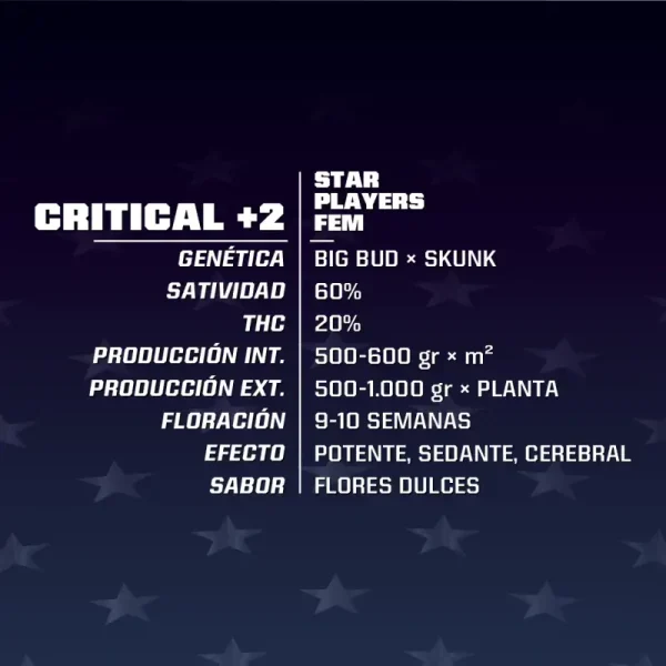 Critical-+2-Feminized-x02-BSF